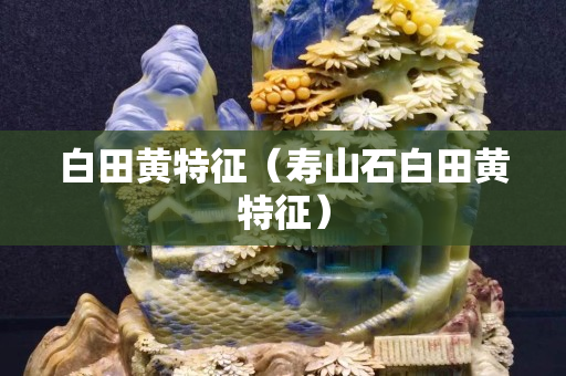 白田黄特征（寿山石白田黄特征）