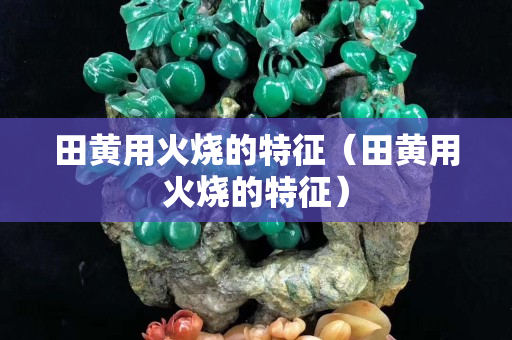 田黄用火烧的特征（田黄用火烧的特征）