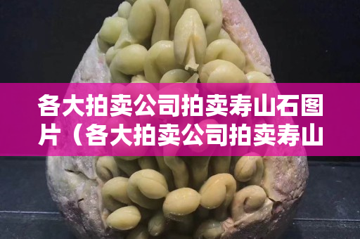 各大拍卖公司拍卖寿山石图片（各大拍卖公司拍卖寿山石图片价值）
