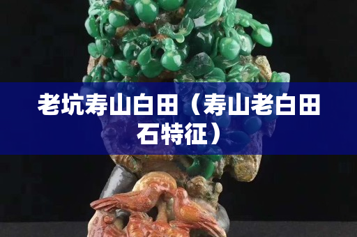 老坑寿山白田（寿山老白田石特征）