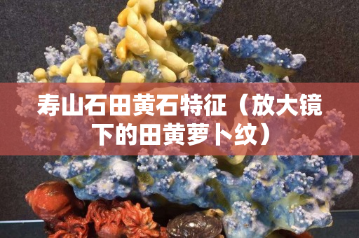 寿山石田黄石特征（放大镜下的田黄萝卜纹）