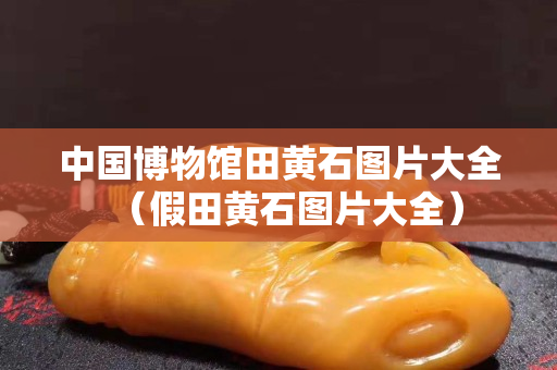 中国博物馆田黄石图片大全（假田黄石图片大全）