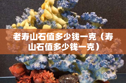 老寿山石值多少钱一克（寿山石值多少钱一克）