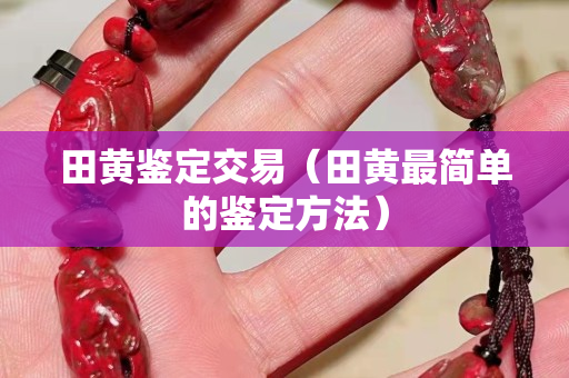 田黄鉴定交易（田黄最简单的鉴定方法）