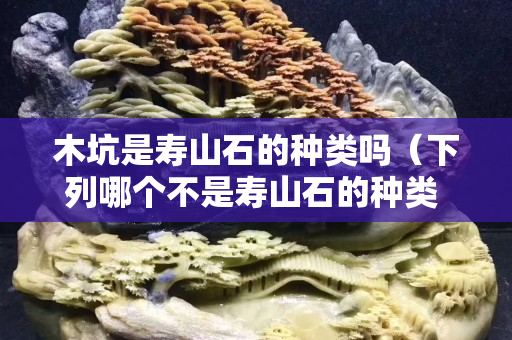木坑是寿山石的种类吗（下列哪个不是寿山石的种类 A 山坑）