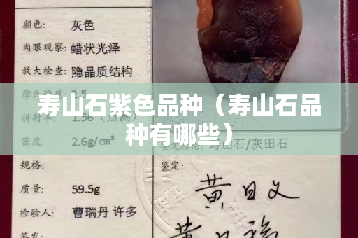 寿山石紫色品种（寿山石品种有哪些）