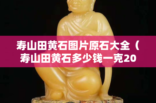 寿山田黄石图片原石大全（寿山田黄石多少钱一克2023）