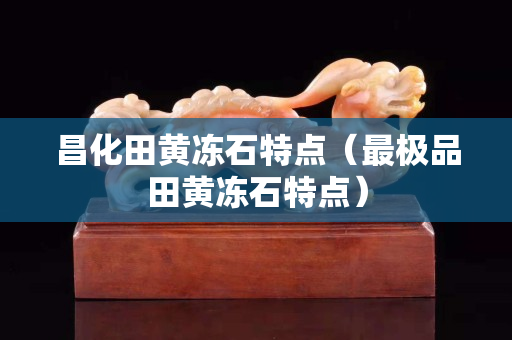 昌化田黄冻石特点（最极品田黄冻石特点）