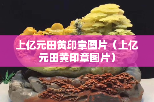 上亿元田黄印章图片（上亿元田黄印章图片）