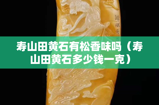寿山田黄石有松香味吗（寿山田黄石多少钱一克）