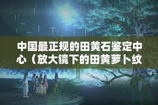 中国最正规的田黄石鉴定中心（放大镜下的田黄萝卜纹）