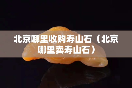北京哪里收购寿山石（北京哪里卖寿山石）