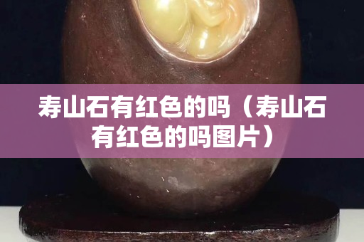 寿山石有红色的吗（寿山石有红色的吗图片）