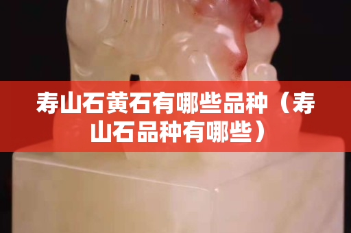 寿山石黄石有哪些品种（寿山石品种有哪些）