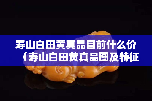 寿山白田黄真品目前什么价（寿山白田黄真品图及特征）