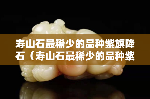寿山石最稀少的品种紫旗降石（寿山石最稀少的品种紫旗降石）