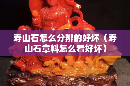 寿山石怎么分辨的好坏（寿山石章料怎么看好坏）