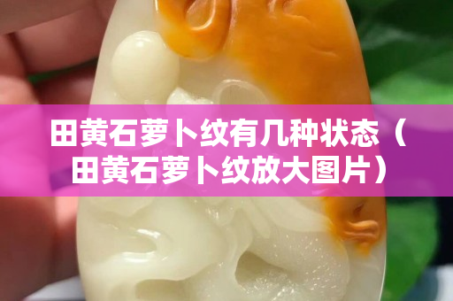 田黄石萝卜纹有几种状态（田黄石萝卜纹放大图片）