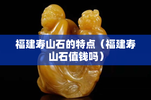 福建寿山石的特点（福建寿山石值钱吗）