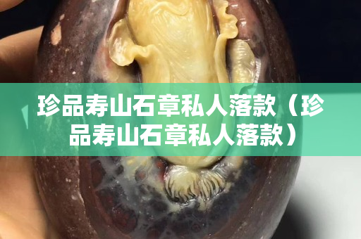 珍品寿山石章私人落款（珍品寿山石章私人落款）