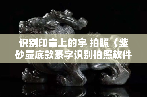 识别印章上的字 拍照（紫砂壶底款篆字识别拍照软件）