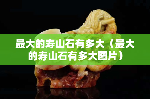 最大的寿山石有多大（最大的寿山石有多大图片）
