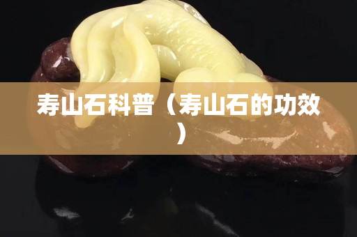 寿山石科普（寿山石的功效）