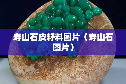 寿山石皮籽料图片（寿山石图片）