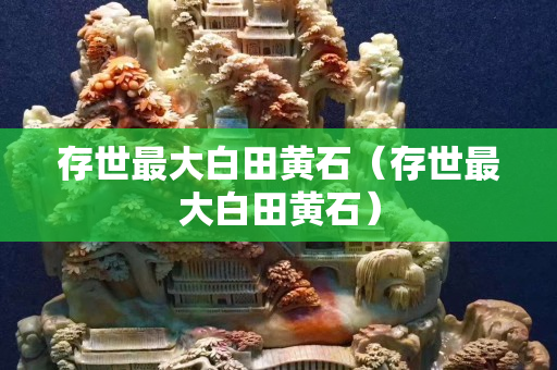 存世最大白田黄石（存世最大白田黄石）