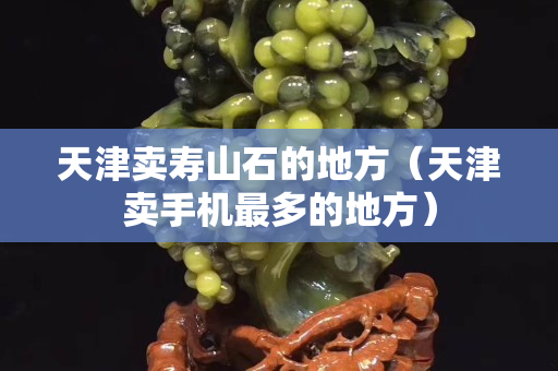 天津卖寿山石的地方（天津卖手机最多的地方）
