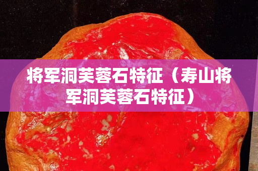 将军洞芙蓉石特征（寿山将军洞芙蓉石特征）