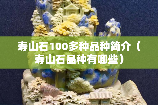 寿山石100多种品种简介（寿山石品种有哪些）