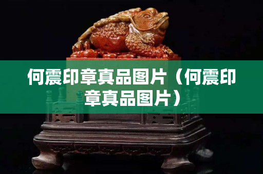 何震印章真品图片（何震印章真品图片）
