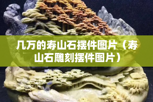 几万的寿山石摆件图片（寿山石雕刻摆件图片）