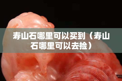寿山石哪里可以买到（寿山石哪里可以去捡）