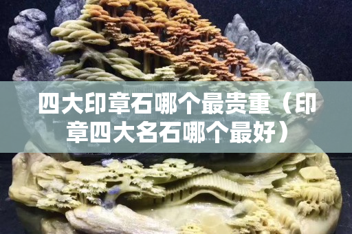 四大印章石哪个最贵重（印章四大名石哪个最好）