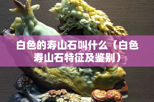 白色的寿山石叫什么（白色寿山石特征及鉴别）