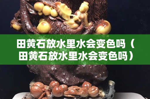 田黄石放水里水会变色吗（田黄石放水里水会变色吗）