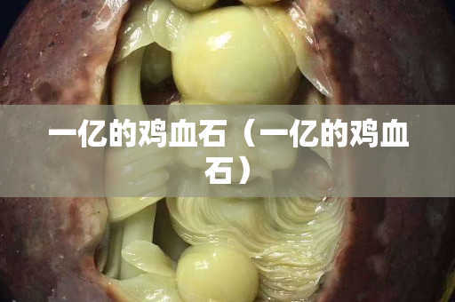 一亿的鸡血石（一亿的鸡血石）