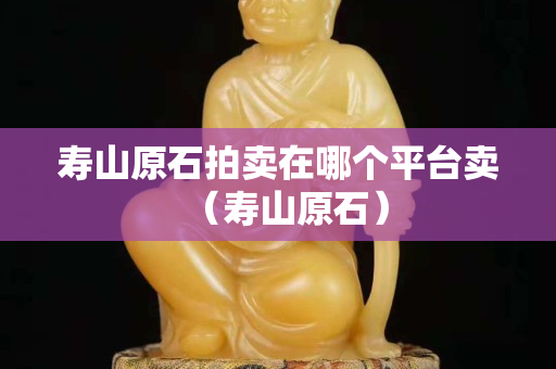 寿山原石拍卖在哪个平台卖（寿山原石）
