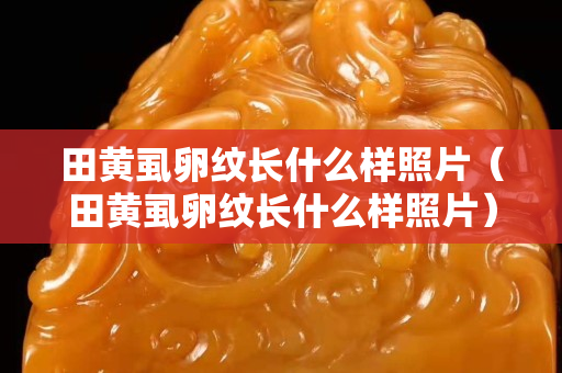 田黄虱卵纹长什么样照片（田黄虱卵纹长什么样照片）