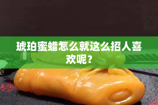琥珀蜜蜡怎么就这么招人关注国石之家呢？