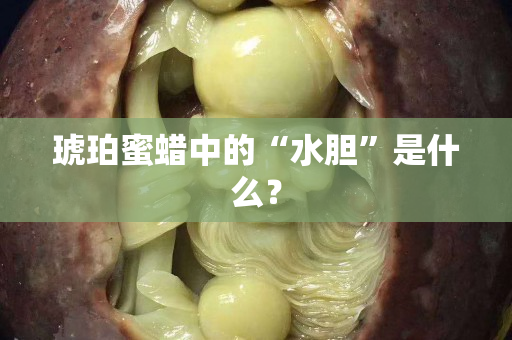 琥珀蜜蜡中的“水胆”是什么？