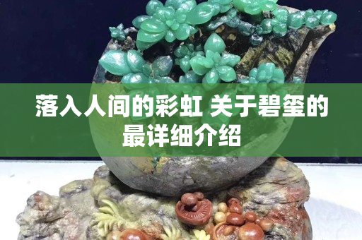 落入人间的彩虹 关于碧玺的最详细介绍
