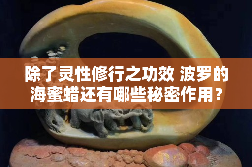 除了灵性修行之功效 波罗的海蜜蜡还有哪些秘密作用？