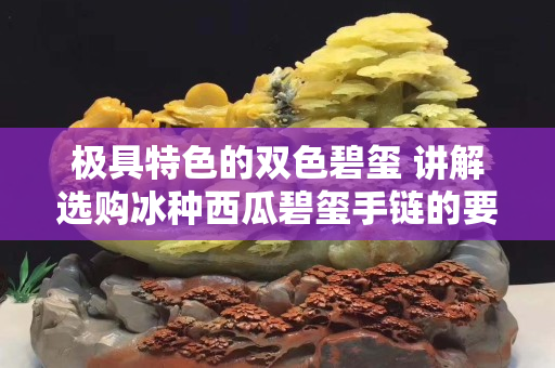 极具特色的双色碧玺 讲解选购冰种西瓜碧玺手链的要点