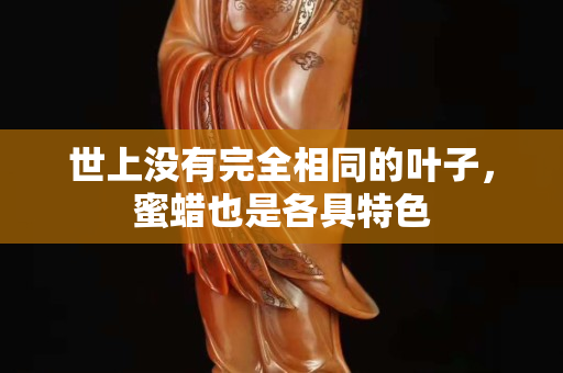 世上没有完全相同的叶子，蜜蜡也是各具特色