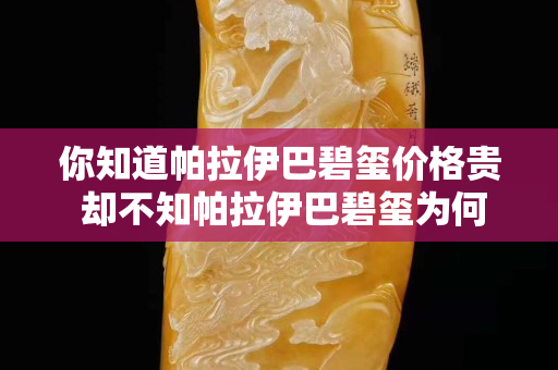 你知道帕拉伊巴碧玺价格贵 却不知帕拉伊巴碧玺为何贵