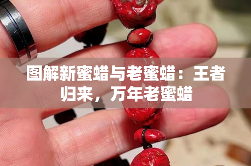 图解新蜜蜡与老蜜蜡：王者归来，万年老蜜蜡