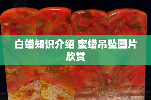 白蜡知识介绍 蜜蜡吊坠图片欣赏